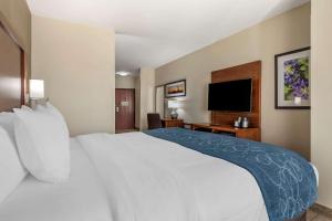 Postel nebo postele na pokoji v ubytování Comfort Suites Buda - Austin South