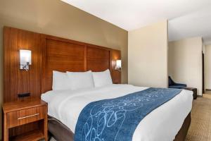 Postel nebo postele na pokoji v ubytování Comfort Suites Buda - Austin South