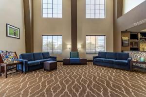 Posezení v ubytování Comfort Suites Buda - Austin South