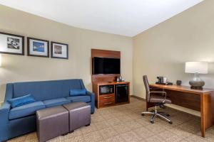TV a/nebo společenská místnost v ubytování Comfort Suites Buda - Austin South