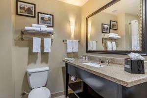 Koupelna v ubytování Comfort Suites Buda - Austin South