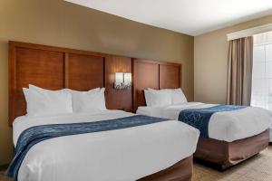 Postel nebo postele na pokoji v ubytování Comfort Suites Buda - Austin South