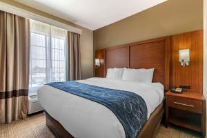 Postel nebo postele na pokoji v ubytování Comfort Suites Buda - Austin South