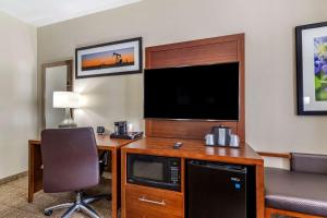 TV a/nebo společenská místnost v ubytování Comfort Suites Buda - Austin South