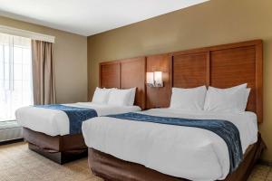 Postel nebo postele na pokoji v ubytování Comfort Suites Buda - Austin South