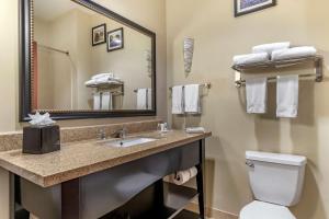 Koupelna v ubytování Comfort Suites Buda - Austin South