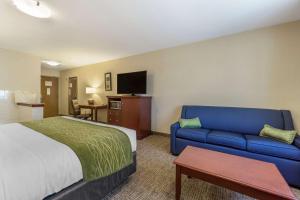 TV a/nebo společenská místnost v ubytování Comfort Inn Kennewick Richland