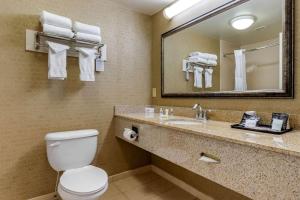 a bathroom with a toilet and a sink with a mirror at Comfort Inn Warner Robins - Robins AFB in Warner Robins