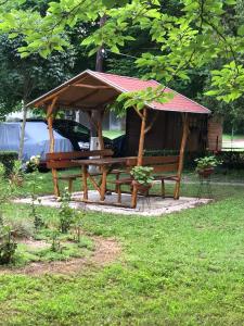- une table de pique-nique avec un kiosque dans un parc dans l'établissement Szieszta Szófia Apartman, à Harkány
