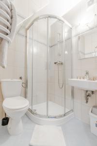 uma casa de banho com um chuveiro, um WC e um lavatório. em Dunajecki Dworek em Biały Dunajec
