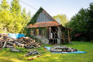 Afbeelding uit fotogalerij van Хатина біля потока in Lumshory