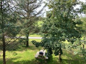 una mesa de picnic en medio de un campo con árboles en Riverside log cabin, en Ballyconnell
