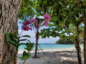 Foto dalla galleria di Blue Bay Bungalow a Ko Samed
