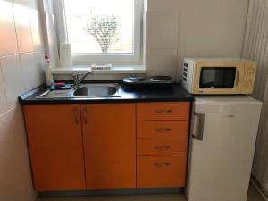 eine kleine Küche mit einer Spüle und einer Mikrowelle in der Unterkunft Apartment Corriger in Ústí nad Orlicí