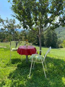 un tavolo e sedie seduti sotto un albero in un campo di Etno kuća Mladenović a Raška
