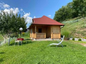 Cabaña pequeña con techo rojo en la hierba en Etno kuća Mladenović en Raška
