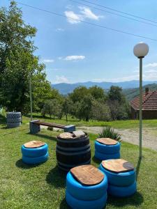 un gruppo di tamburi seduti sull'erba di Etno kuća Mladenović a Raška