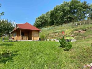 a small cabin on a hill with a grassy yard at Etno kuća Mladenović in Raška