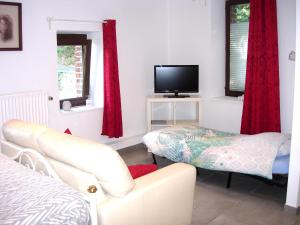 een woonkamer met een bank en een tv bij La Quietude in Chaudfontaine