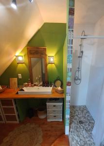 a bathroom with a sink and a shower at Chambre d'hôtes à la campagne Nevers in Challuy