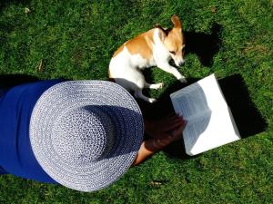 Pet ou pets ficando com hóspedes em Pousada Toca da Praia