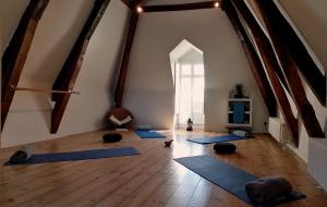 a room with a bunch of yoga mats at Chateau Mont Joly in Gan