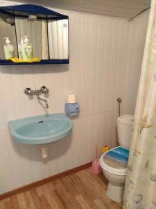 a bathroom with a sink and a toilet at Agroturystyka pod kasztanem [czynny od maja do września] in Mirsk