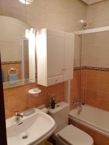 A bathroom at Apartamentos Dana Sol