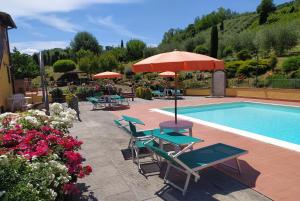 a pool with chairs and umbrellas next to at Casa Elisa in Montaione