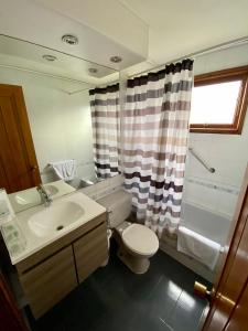 uma casa de banho com um lavatório, um WC e um chuveiro em Yelcho en la Patagonia em Chaitén