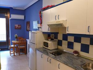 A kitchen or kitchenette at Apartamentos Dana Sol