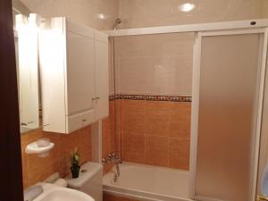 A bathroom at Apartamentos Dana Sol
