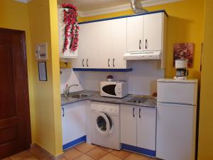 A kitchen or kitchenette at Apartamentos Dana Sol