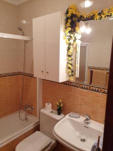 A bathroom at Apartamentos Dana Sol