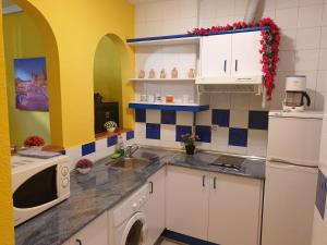 A kitchen or kitchenette at Apartamentos Dana Sol