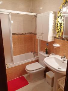 A bathroom at Apartamentos Dana Sol