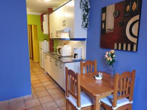 A kitchen or kitchenette at Apartamentos Dana Sol