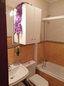 A bathroom at Apartamentos Dana Sol