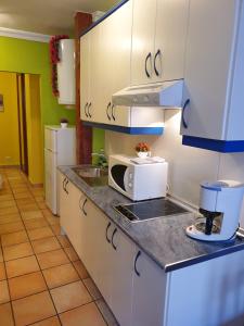 A kitchen or kitchenette at Apartamentos Dana Sol