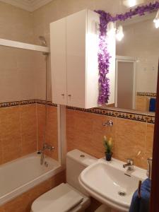 A bathroom at Apartamentos Dana Sol