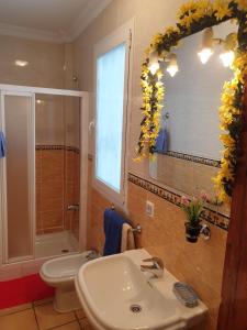 A bathroom at Apartamentos Dana Sol