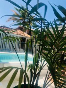 Πισίνα στο ή κοντά στο Pousada Angatu Arraial - Rua mucugê +36 φωτογραφίες