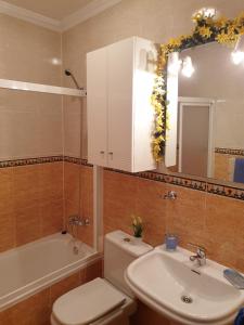 A bathroom at Apartamentos Dana Sol