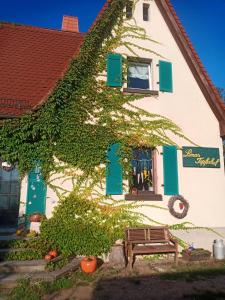 un edificio con un árbol y un banco delante de él en Linas Töpferhof, en Weissenfels