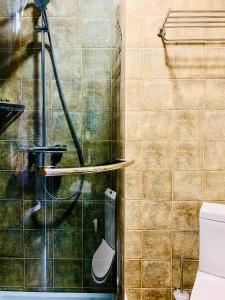 a bathroom with a shower and a toilet at Hotel Monysto in Bukovel