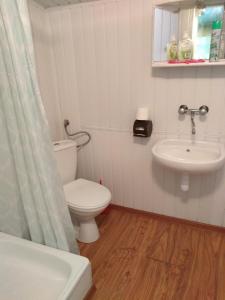 a bathroom with a toilet and a sink at Agroturystyka pod kasztanem [czynny od maja do września] in Mirsk