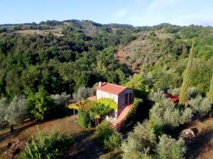 widok z powietrza na dom w lesie w obiekcie Ferienhaus IL-PINO w mieście Roccastrada