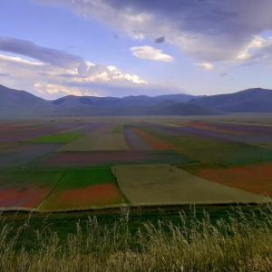 an aerial view of a field with mountains in the background at Antica Carbonaia di Norcia in Norcia