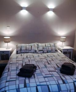 a bedroom with a bed with two pillows and two lamps at Youghal in Youghal