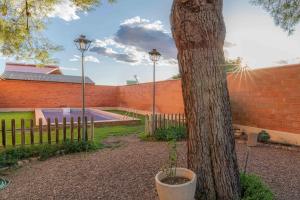 un árbol en una olla al lado de una valla en Casa rural Crisalva en Granátula de Calatrava